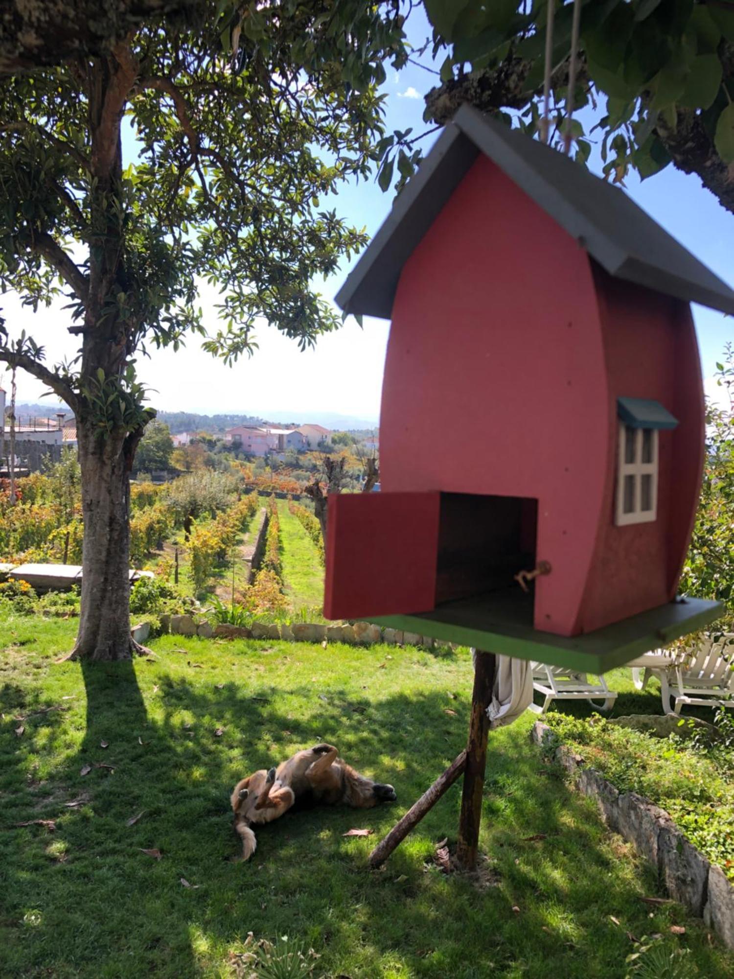 Quinta Da Estrada Winery Douro Valley Peso da Régua Exterior foto