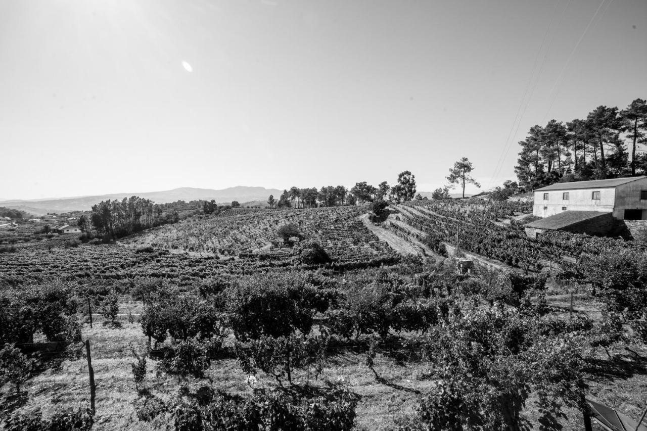 Quinta Da Estrada Winery Douro Valley Peso da Régua Exterior foto