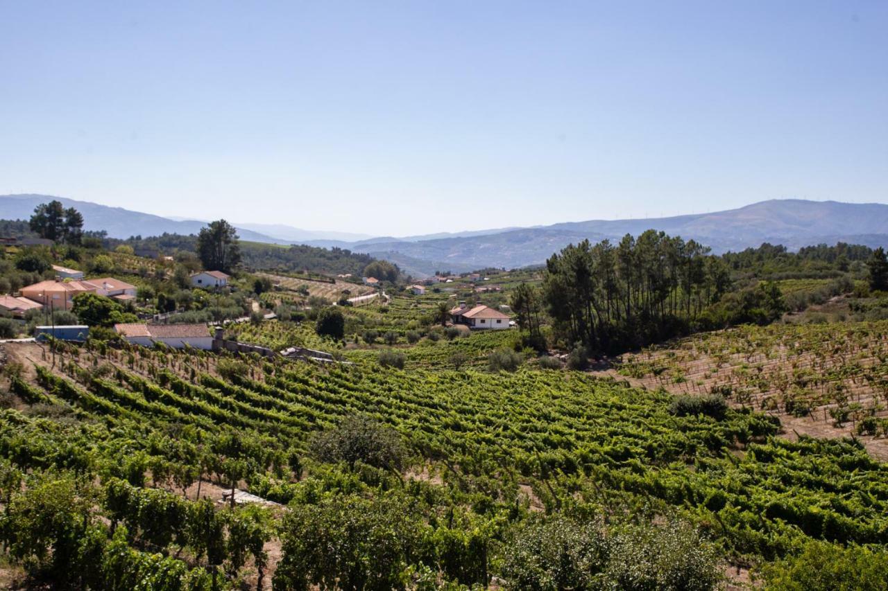 Quinta Da Estrada Winery Douro Valley Peso da Régua Exterior foto