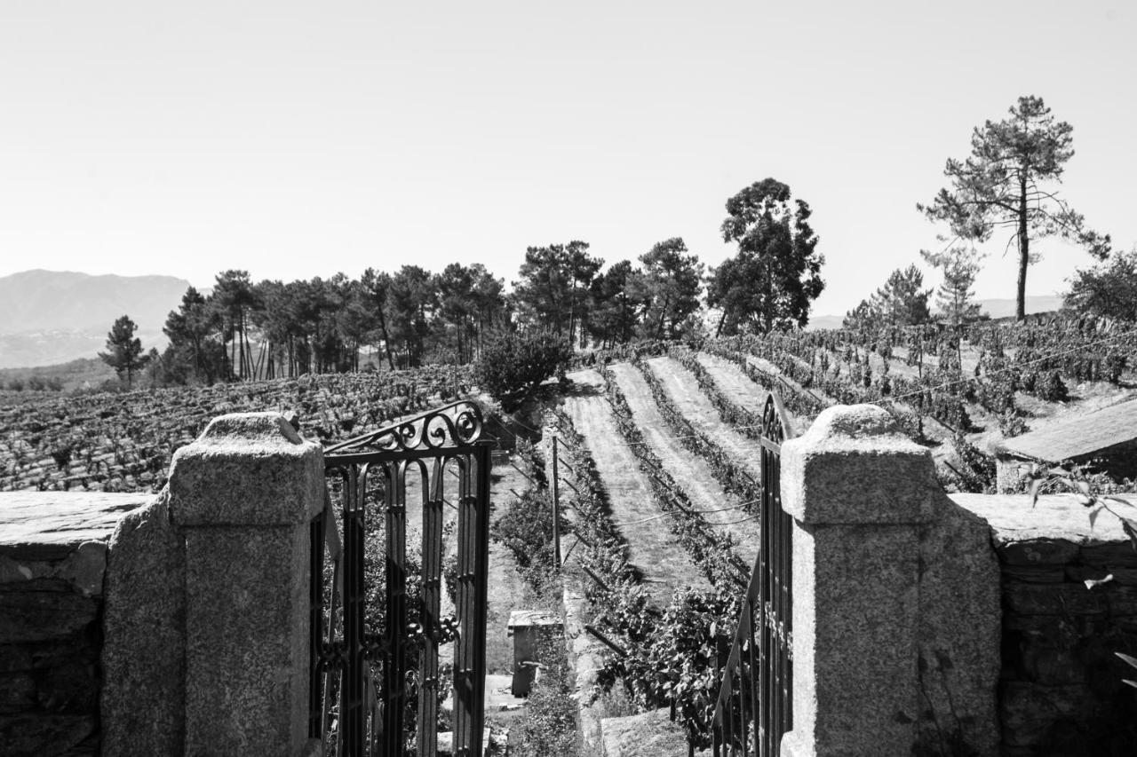 Quinta Da Estrada Winery Douro Valley Peso da Régua Exterior foto