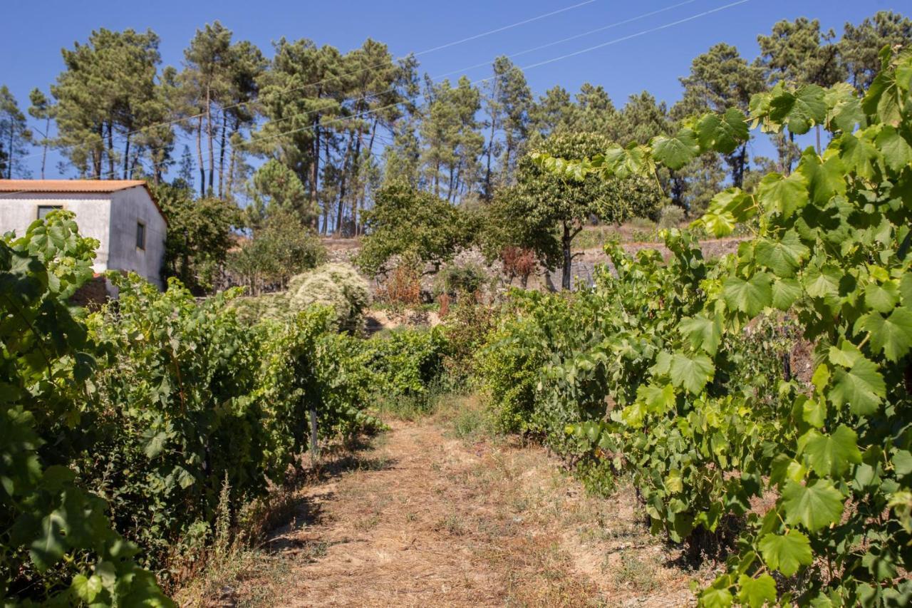 Quinta Da Estrada Winery Douro Valley Peso da Régua Exterior foto