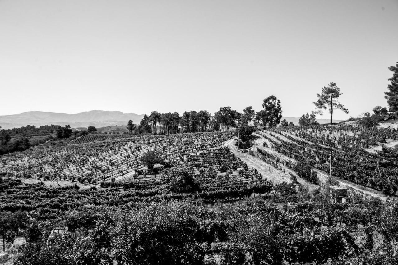 Quinta Da Estrada Winery Douro Valley Peso da Régua Exterior foto